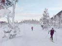 skier2.jpg