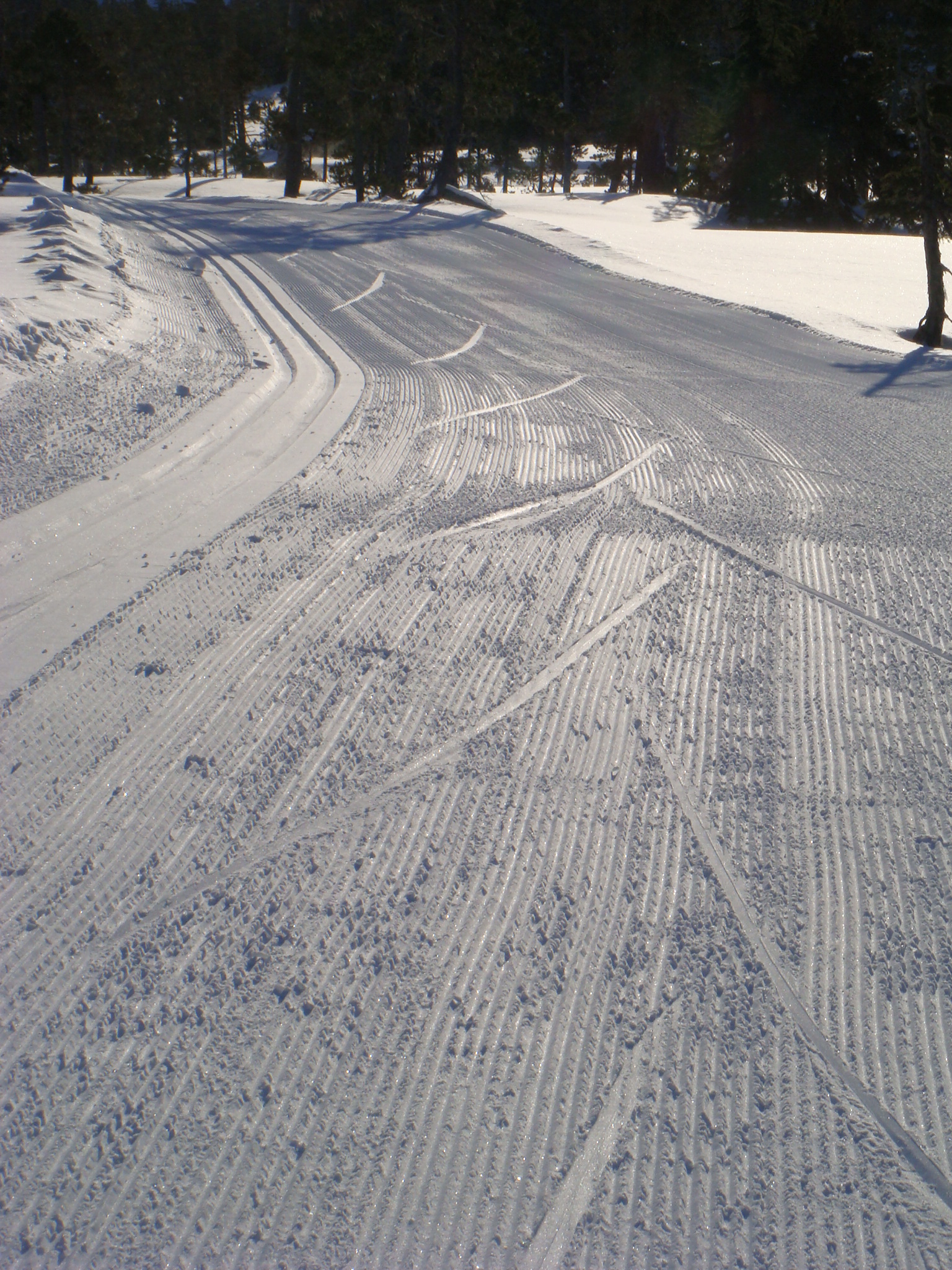 freshtracks-volz07.JPG