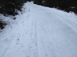montana12-14-14lower