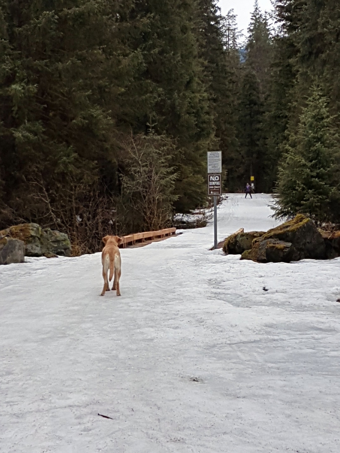 Sunday April 29 Grooming complete @ 8am