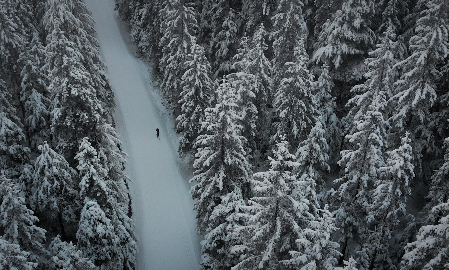 New Snow Report
