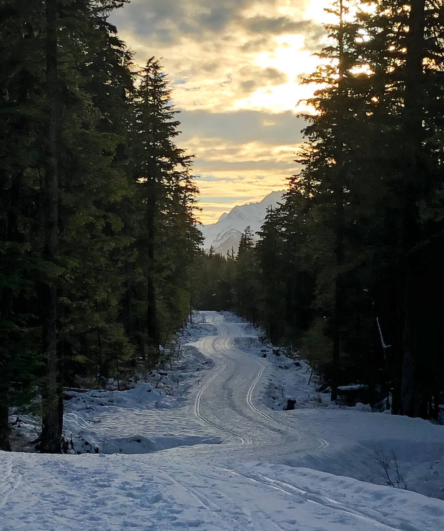 Pioneer Road – Skate