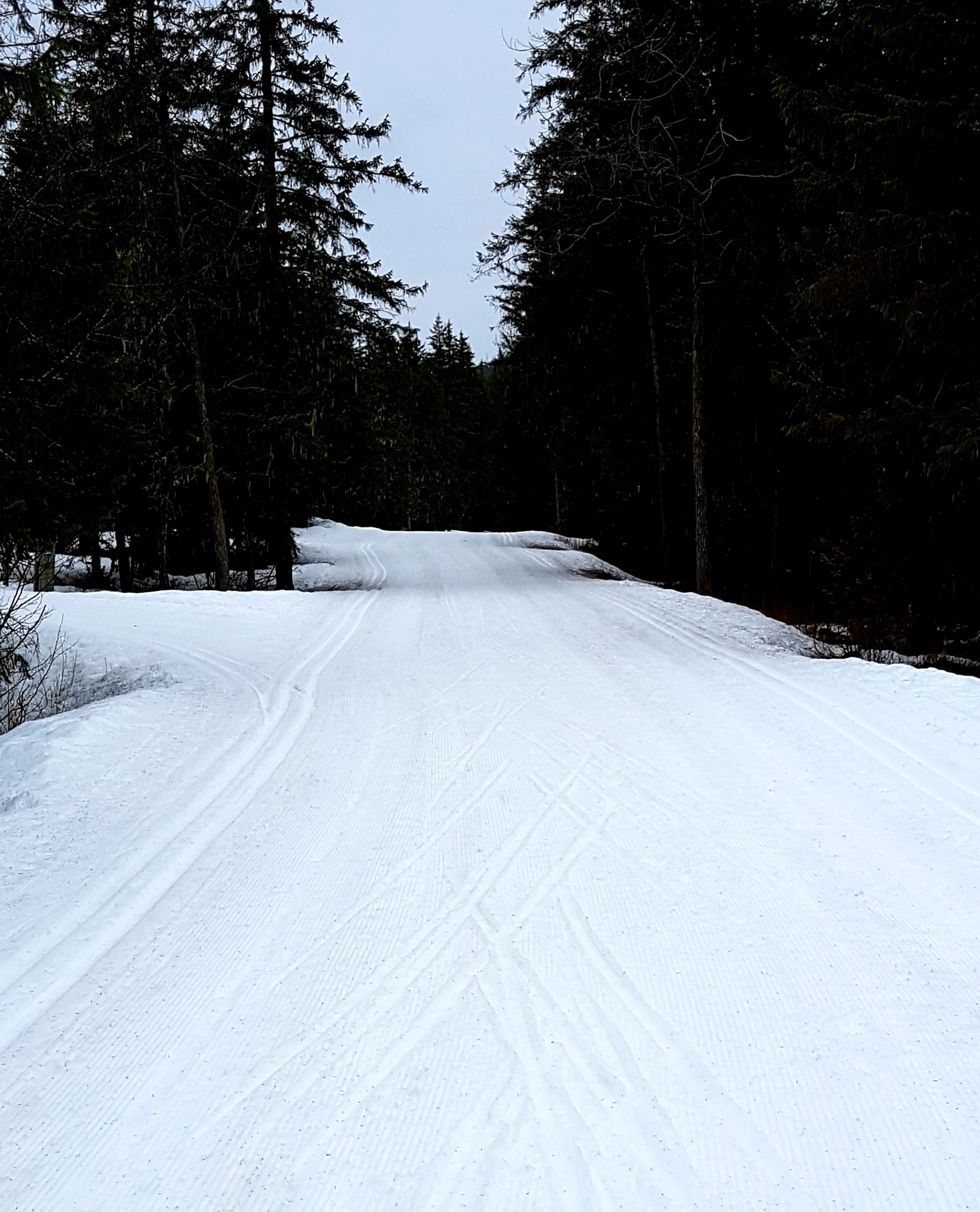 Monday – Nice skiing today!