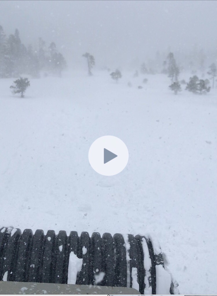 Intrepid Groomer Brian’s video screenshot