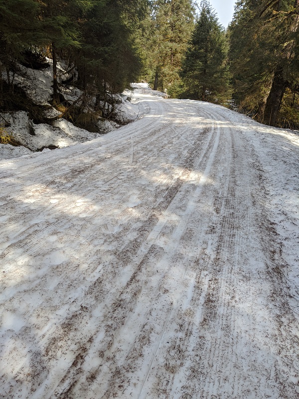 Sunny, warm, birds singing, river rushing, it’s the best season to ski!