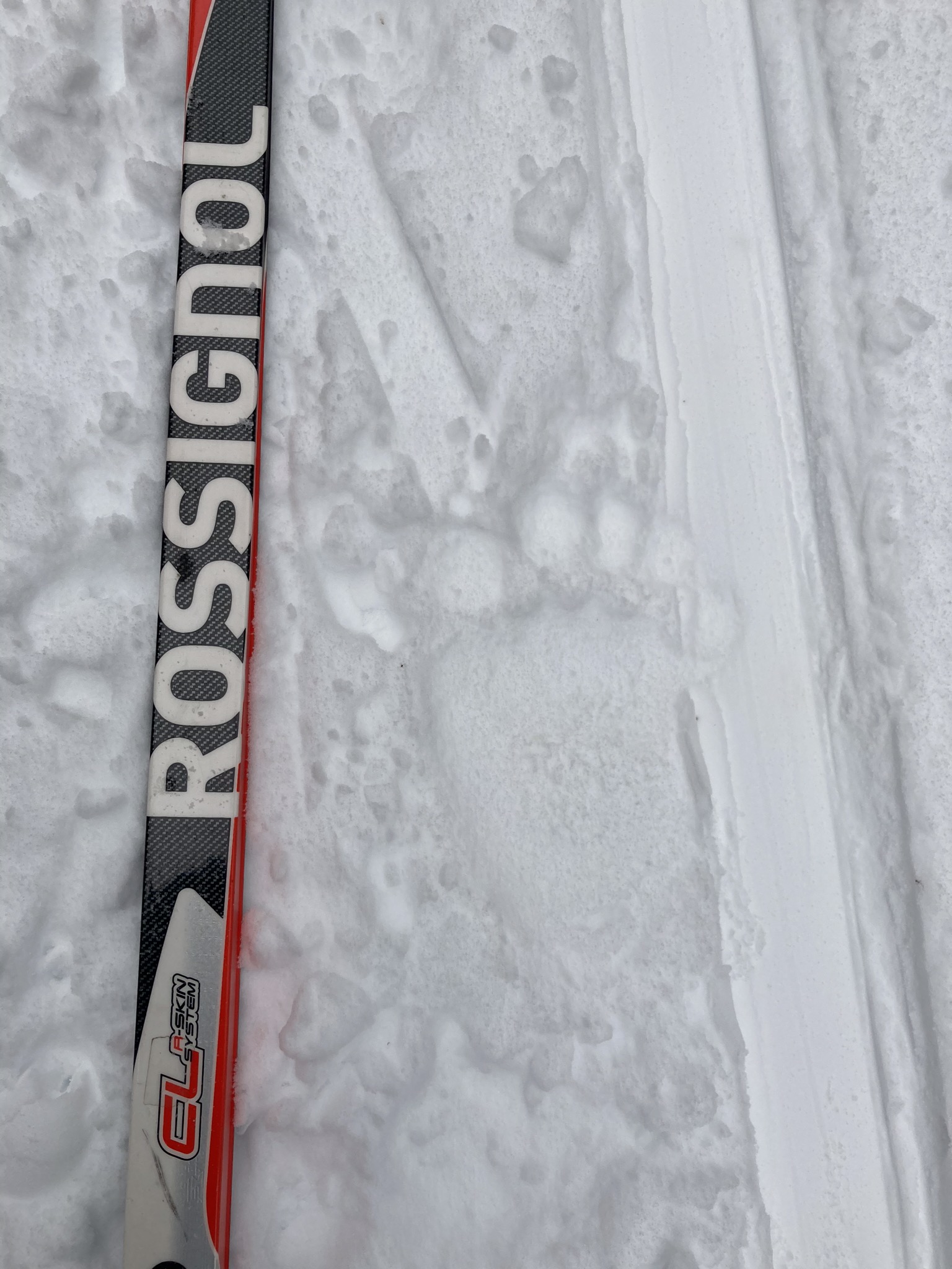 Skier
