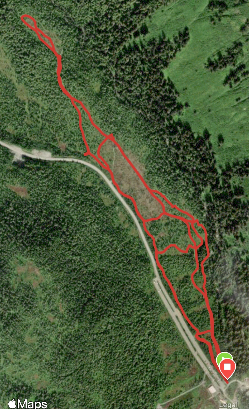 Lower loop is fun for classic skiing right now