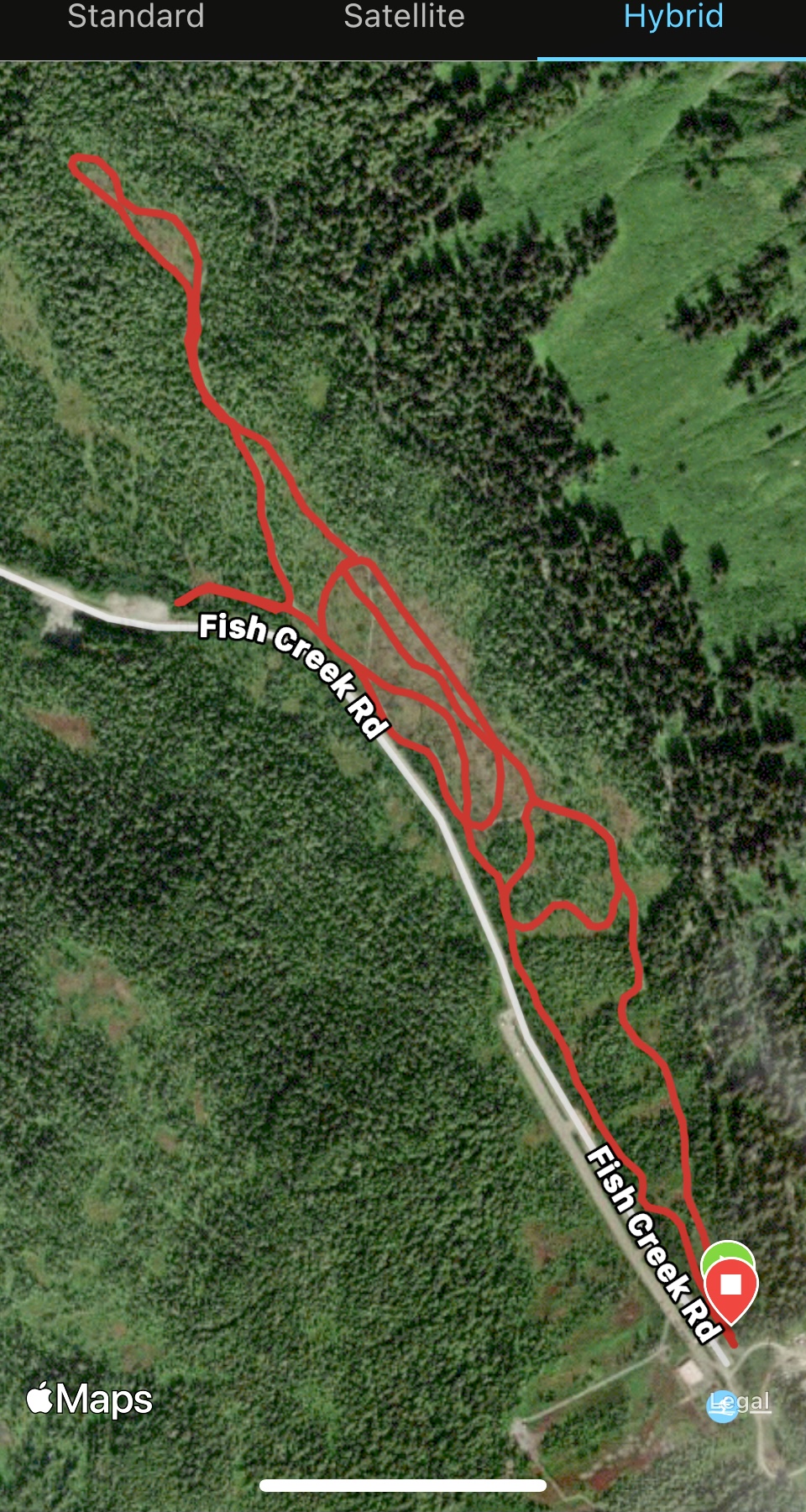 Eaglecrest upper and lower loops groomed