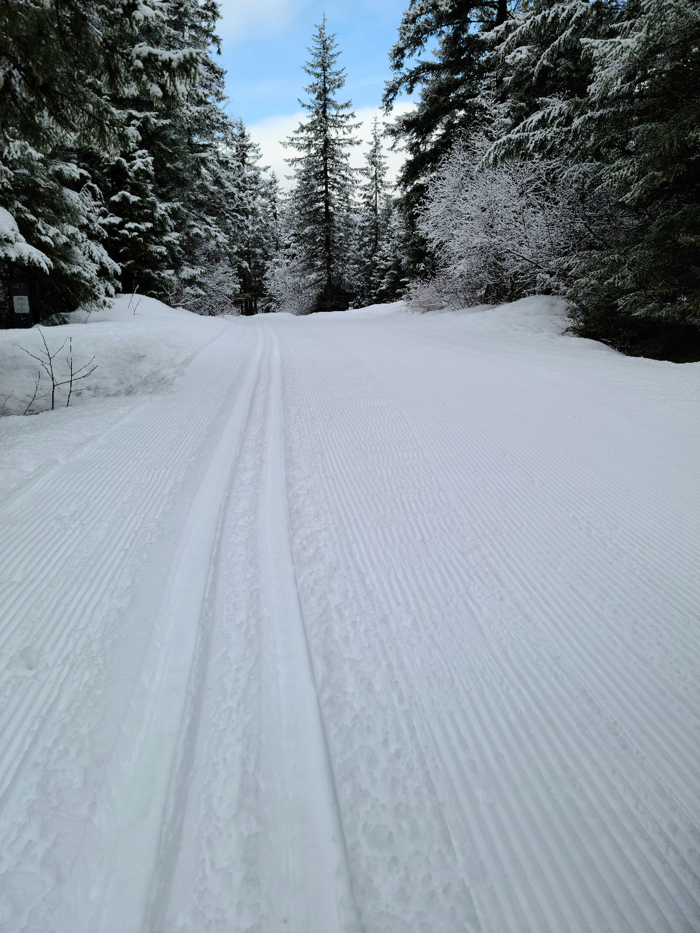 Campground- Thursday groomed 9am