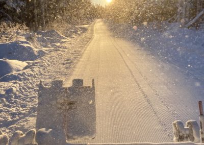 Happy Snowidays