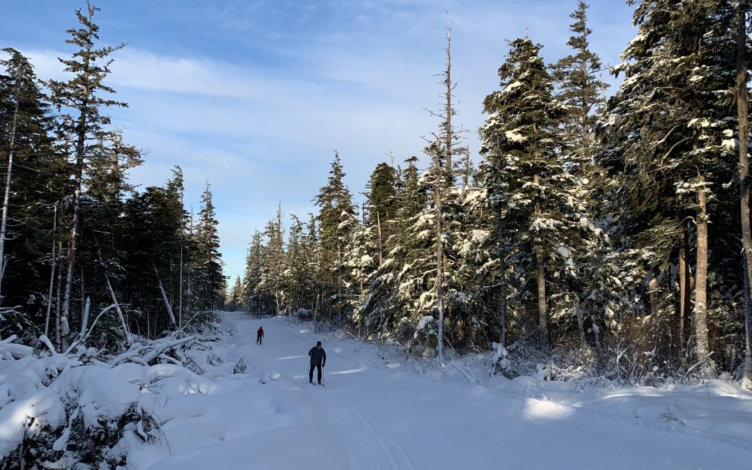 Feast on a full reset!