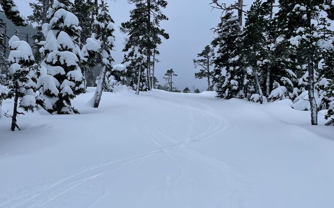 Happy New Year from Eaglecrest!