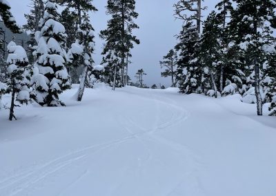 Happy New Year from Eaglecrest!