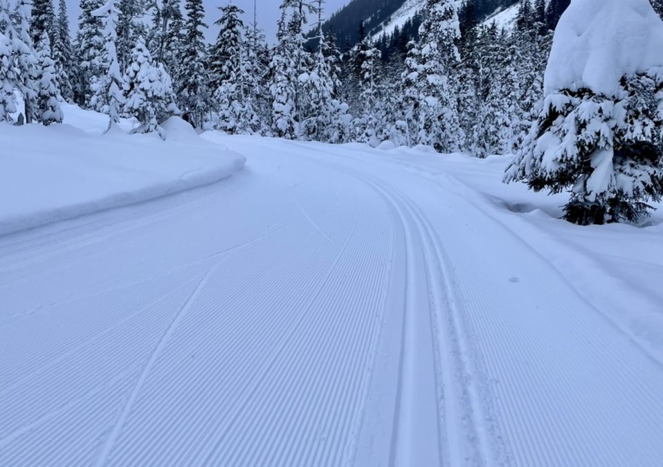 Eaglecrest blue wax perfection