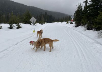 Dancing 💃 in the rain.