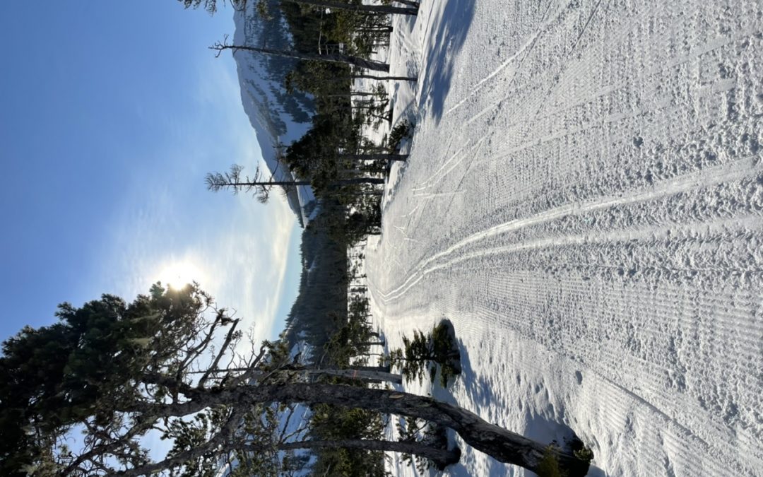 Picture perfect skiing