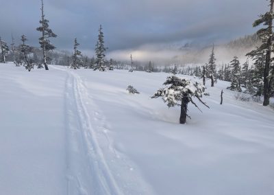Spaulding meadow magic