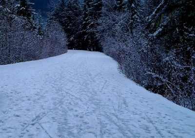 Saturday Campground-No Grooming 9am
