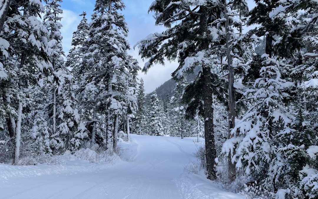 Lower loop groomed for skate