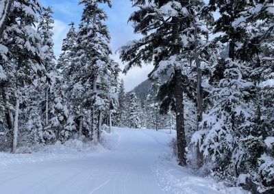 Lower loop groomed for skate