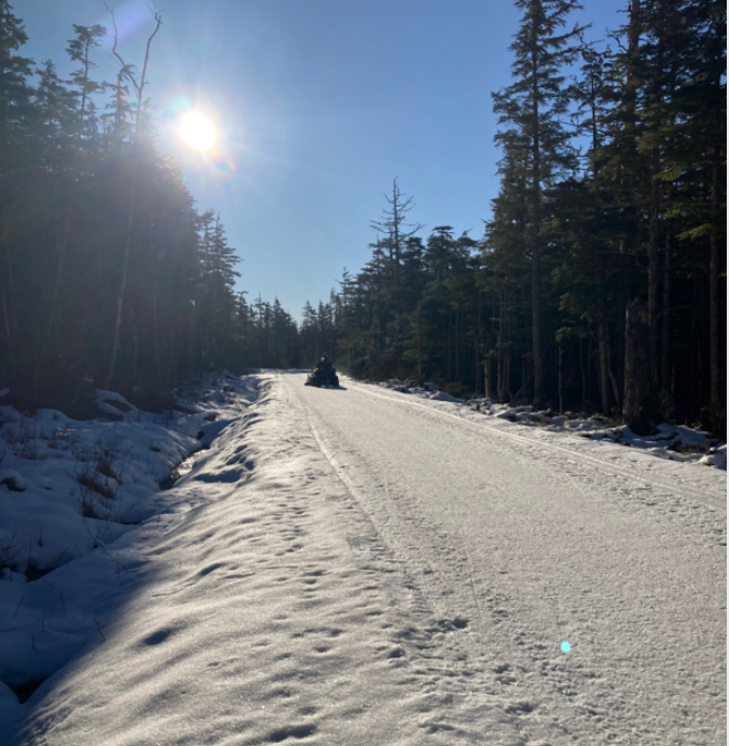 Return of the Grooming Granny