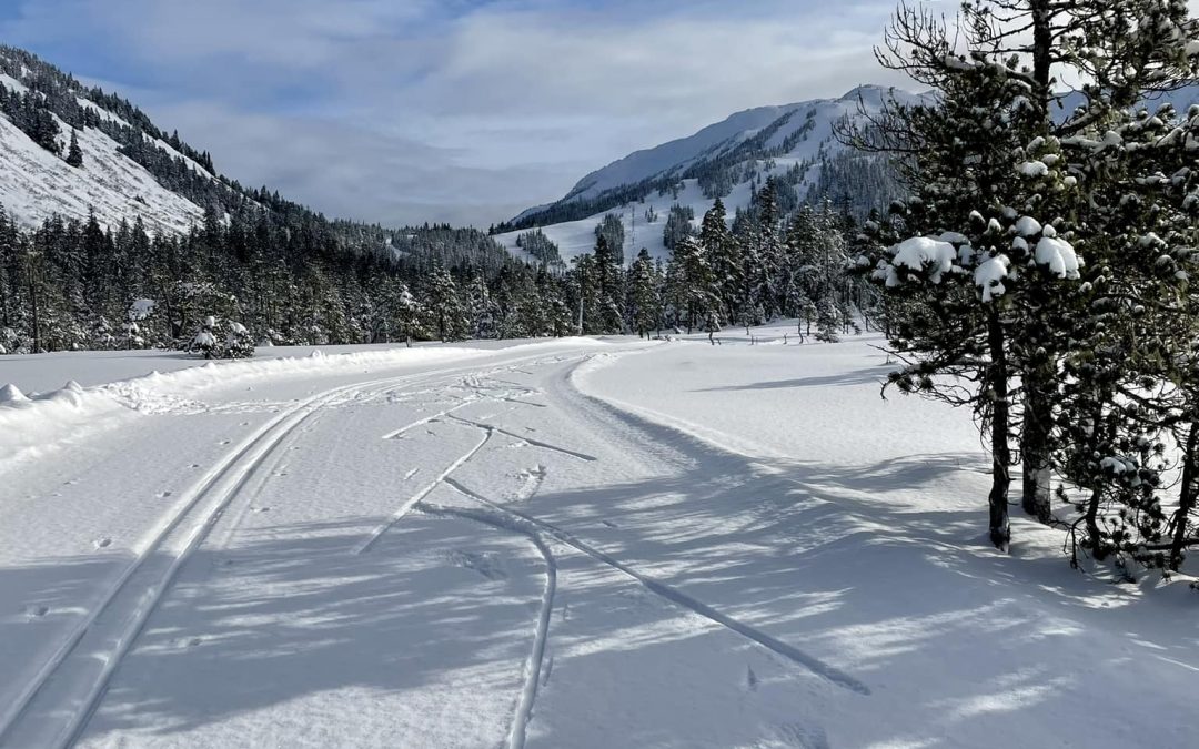 Eaglecrest just keeps getting better!