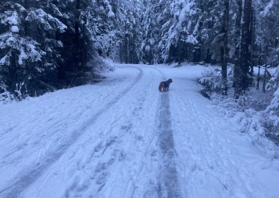 Campground Tracked – 10 Dec 2023