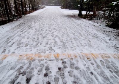 Friday Jan. 5 – NO Grooming