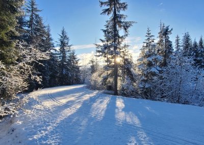 Campground Groomed – 11am