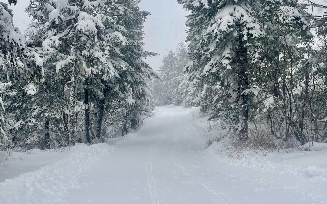 Lower loop groomed this morning