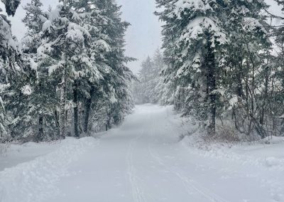 Lower loop groomed this morning