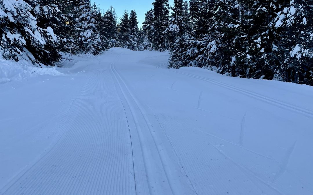 Perfect grooming at Eaglecrest!