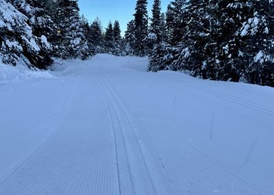 Perfect grooming at Eaglecrest!