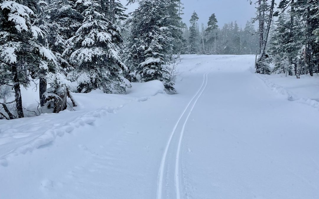 Great classic skiing on lower loop