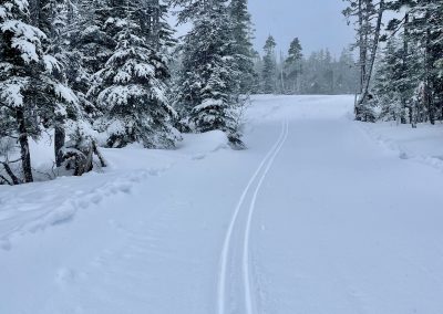 Great classic skiing on lower loop