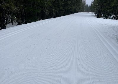 Your sweet tracks await