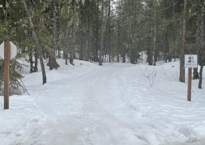 The dog trail has also been set