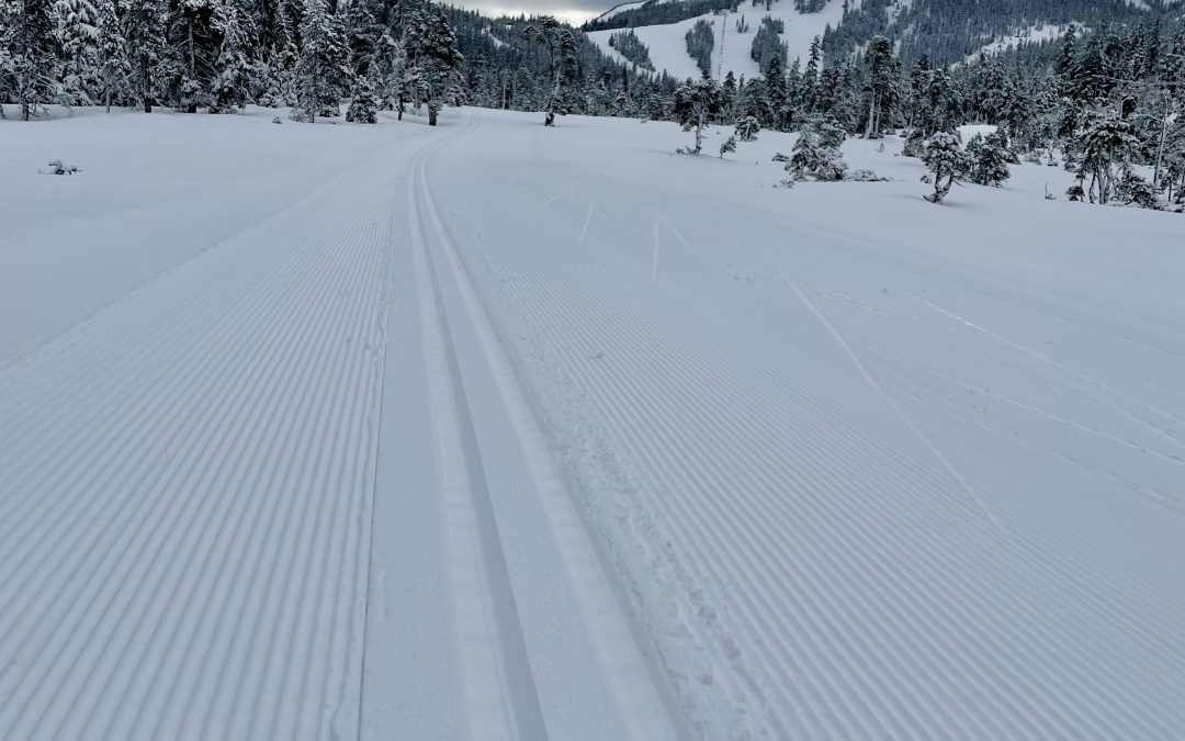 Correction! Eaglecrest is perfection!