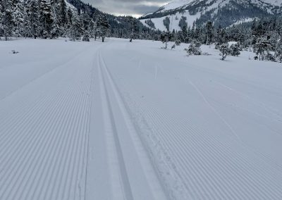 Correction! Eaglecrest is perfection!