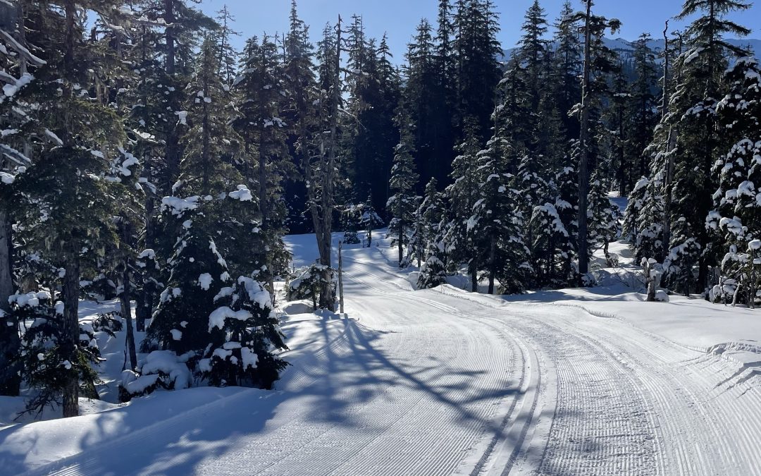 Upper and lower loop trails groomed