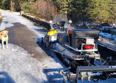 CAMPROUND GROOMED 11am