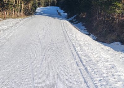 Montana Cr. – Sunday Groomed 9:00