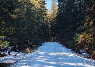 Montana Cr. – Groomed 9:00 Sat.