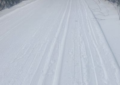Excellent skiing