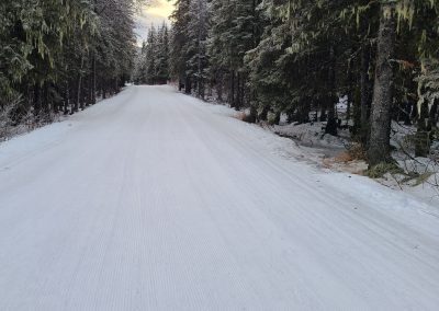 Campground Groomed 9:30
