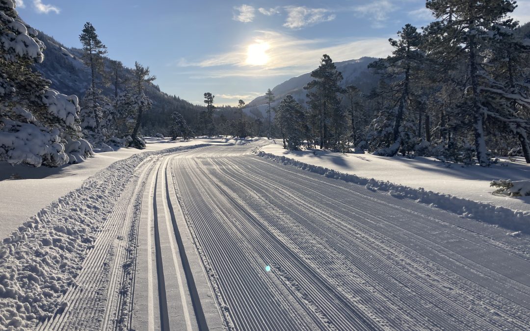 Corduroy and Classic