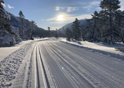 Corduroy and Classic