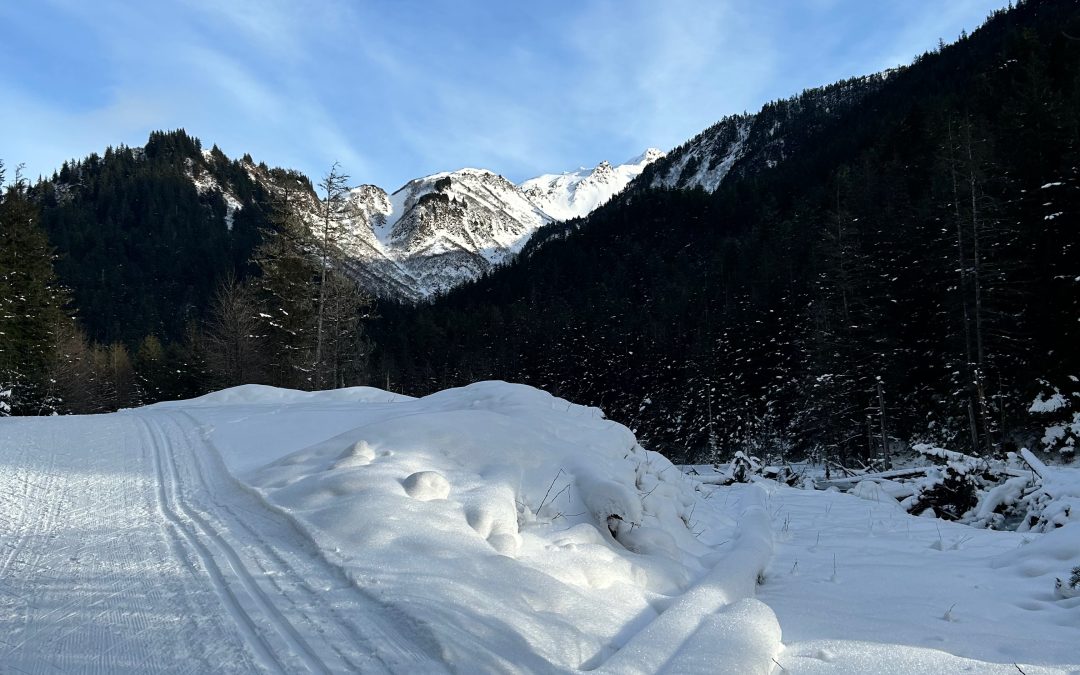 Salmon Creek Goodness