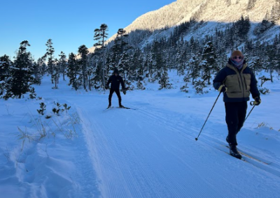 Reasons to be cheerful: