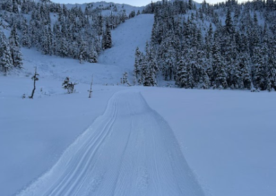 Sorry Robert Service